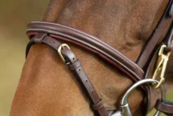 Bridon Functional HFI