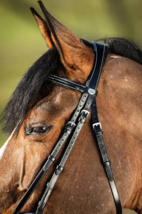 Bridon German HFI muserolle allemande