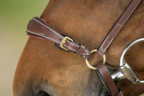Bridon German HFI muserolle allemande
