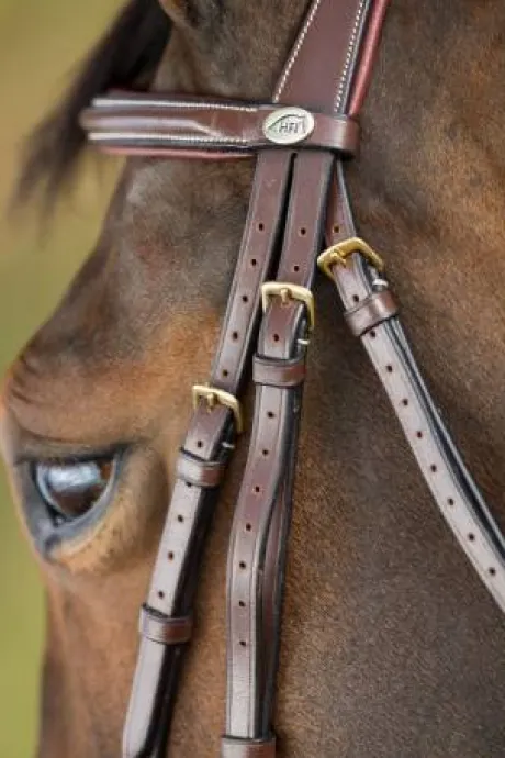 Bridon German HFI muserolle allemande