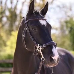 Bridon Hackamore - Collection week - Jump in