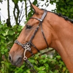 Bridon Hackamore - Collection week - Jump in