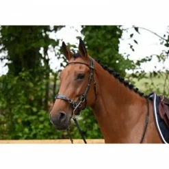 Bridon Hackamore - Collection week - Jump in