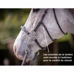 Bridon Hackamore - Collection week - Jump in