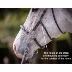 Bridon Hackamore - Collection week - Jump in