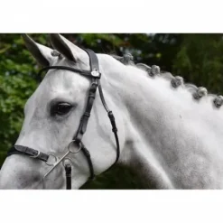 Bridon Hackamore - Collection week - Jump in