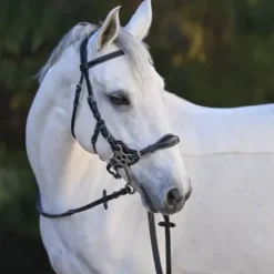 Bridon Hackamore - Collection One Premium - Jump'In - Cuir italien