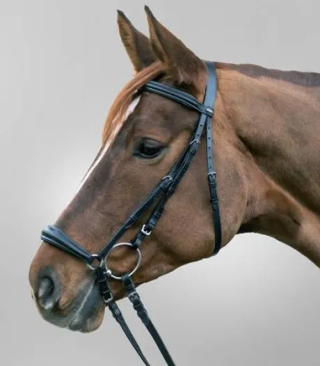 Bridon Hannover muserolle allemande - Waldhausen - Confort optimal