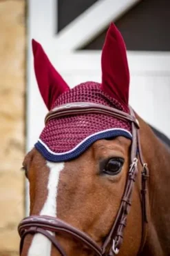 Bridon Kall Harcour et ses rênes classiques Rider