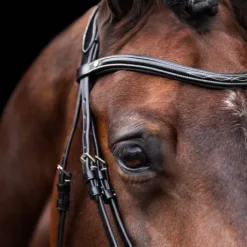 Bridon Legacy - HV Polo