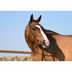 Bridon Liberty - Collection One - Jump'in