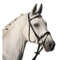 Bridon lifestyle Waldhausen