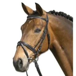 Bridon lifestyle Waldhausen