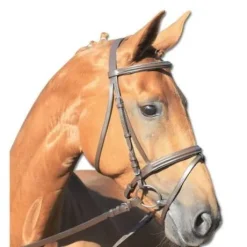 Bridon lifestyle Waldhausen