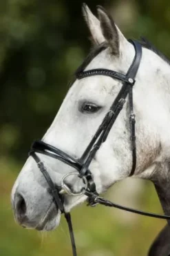 Bridon Luxe HFI