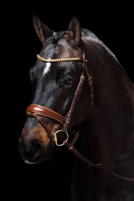 Bridon Marrakesh - HKM