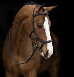 Bridon Micklem Deluxe Compétition - Horseware - confort optimal