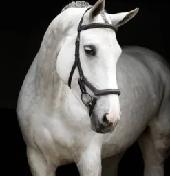 Bridon Micklem Deluxe Compétition - Horseware - confort optimal