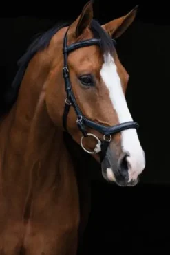 Bridon Micklem Deluxe Competition - Horseware - cuir anglais