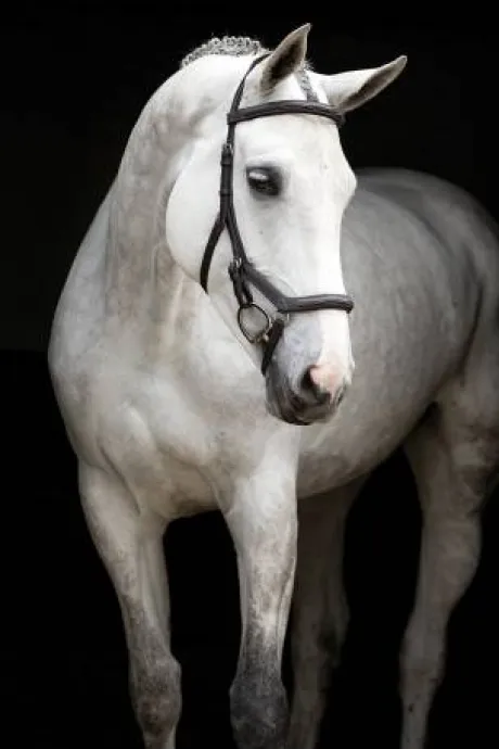 Bridon Micklem Deluxe Competition - Horseware - cuir anglais