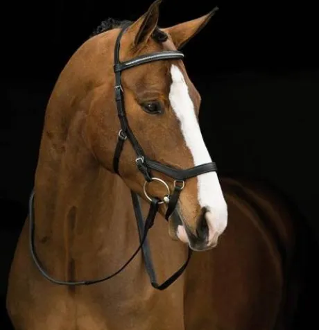 Bridon Micklem Diamante Compétition - Horseware - qualité supérieure