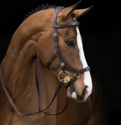 Bridon micklem multi - Horseware - évite la pression