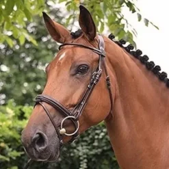 Bridon Monday muserolle combinée - Collection Week - Jump in