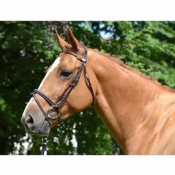 Bridon Monday muserolle combinée - Collection Week - Jump in