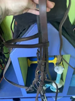 Bridon muserolle croisée