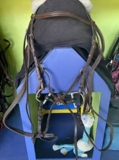 Bridon muserolle croisée