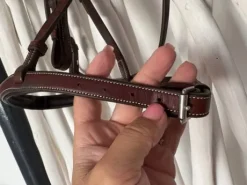 Bridon neuf penelope