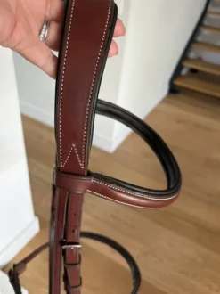 Bridon neuf penelope