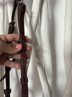 Bridon neuf penelope