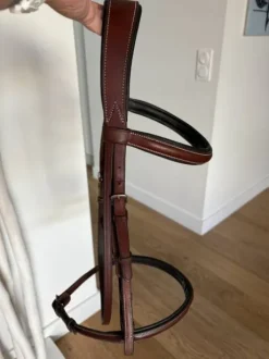 Bridon neuf penelope