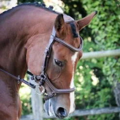 Bridon New York - Collection One - Jump'in