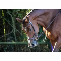 Bridon New York - Collection One - Jump'in