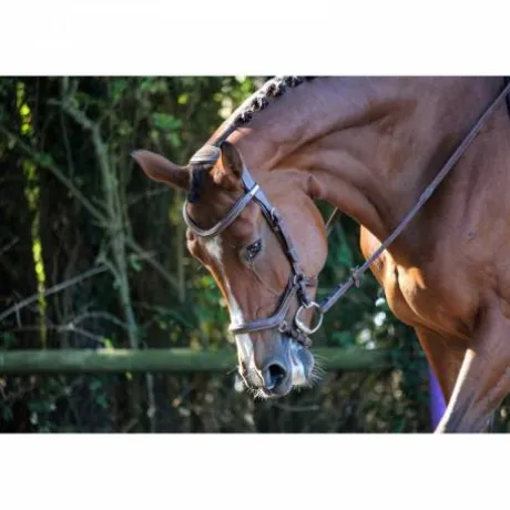 Bridon New York - Collection One - Jump'in