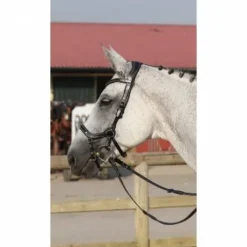 Bridon New York - Collection One - Jump'in