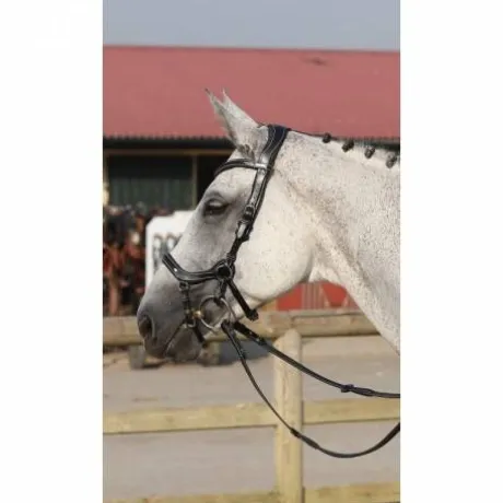 Bridon New York - Collection One - Jump'in