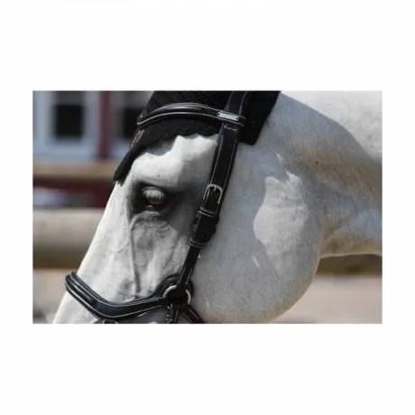 Bridon New York - Collection One - Jump'in