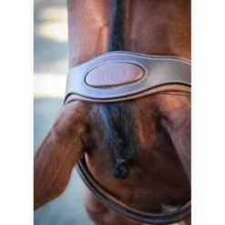 Bridon New York - Collection One - Jump'in