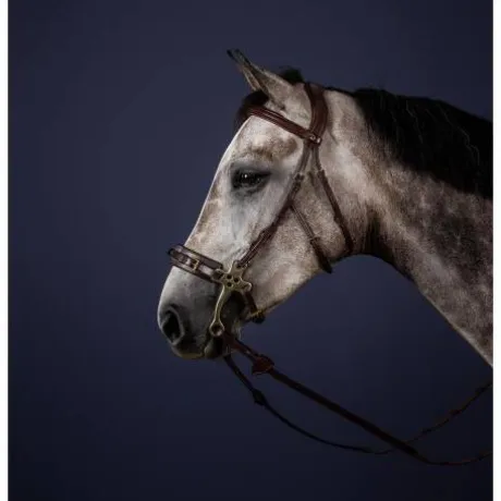 Bridon pour hackamore New English Collection - Dy'on