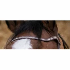 Bridon Pro Miss Marron - Norton