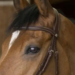 Bridon Pro Rock Marron - Norton