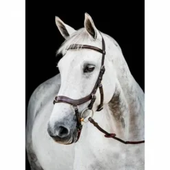 Bridon Rambo Micklem 2 Multibride - Horseware
