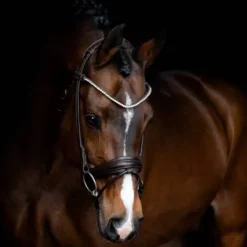 Bridon RAPSODY cuir rond - SD Design - Écologique, élégant