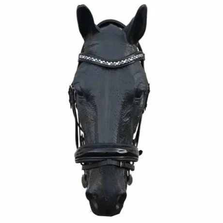 Bridon Rebelle avec muserolle combinée large et vernie - Jmr Pro