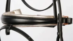 Bridon Rise & Shine - Harry's Horse