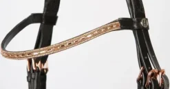 Bridon Rise & Shine - Harry's Horse