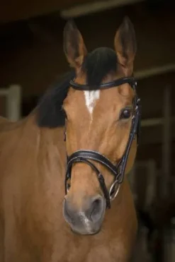 Bridon rock - Norton